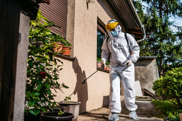 Best Pest Prevention Services  in Weweantic, MA