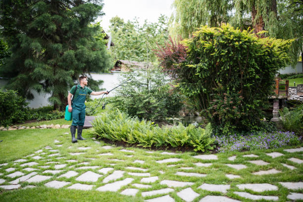 Best Pest Inspection Near Me  in Weweantic, MA
