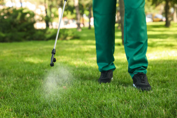 Best Mosquito Control Services  in Weweantic, MA