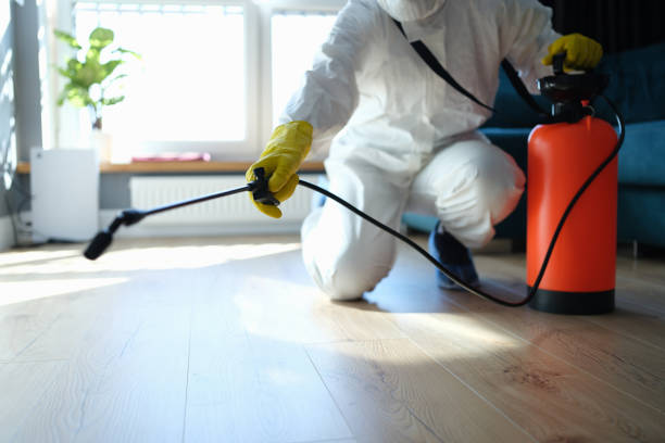 Professional Pest Control in Weweantic, MA