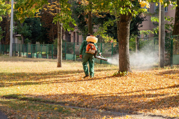 Best Best Pest Control Companies  in Weweantic, MA